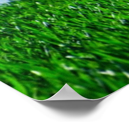 Groen gras en blauwe hemel poster (Hoek)