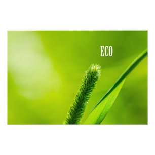 Groen Gras En Zon - Eco Foto Afdruk