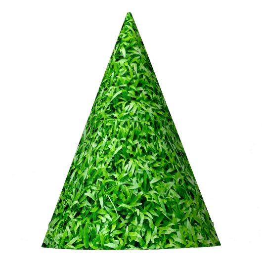Groen gras feesthoedjes (Voorkant)