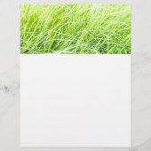 Groen gras flyer (Voorkant)