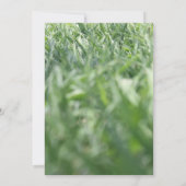 Groen Gras Foto, Informal Buitenfeest of Evenement Kaart (Achterkant)