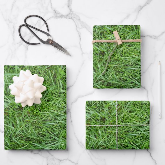 Groen Gras Inpakpapier Vel (Voorkant)