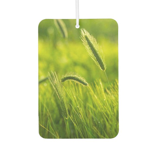 groen gras luchtverfrisser (Voorkant)