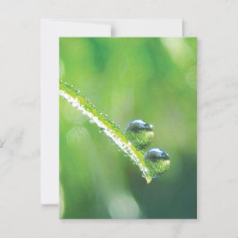 Groen Gras Met Dauw Duppels Die Aarde Weerkaatsen Briefkaart