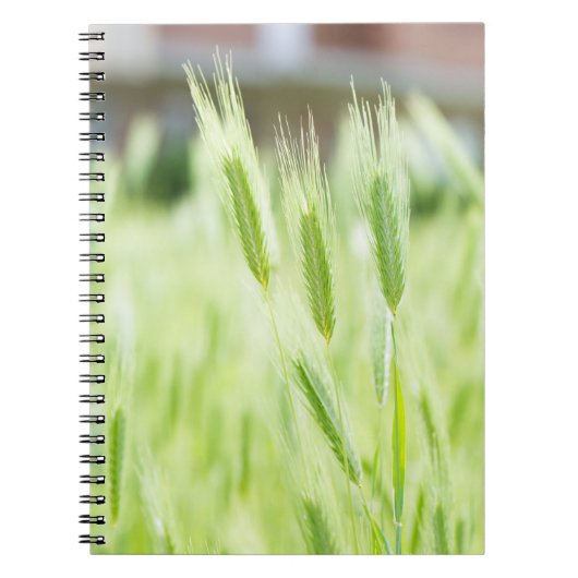 Groen gras notitieboek (Voorkant)