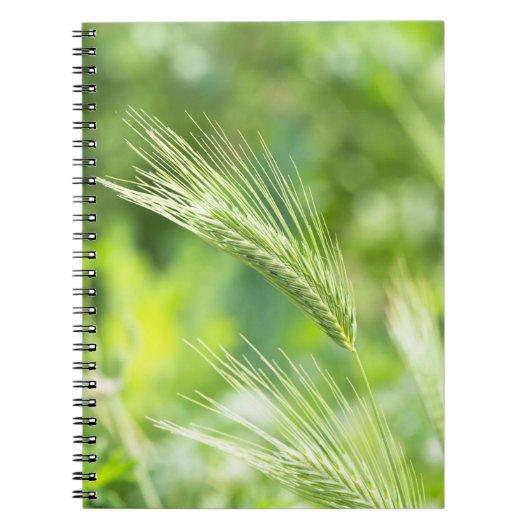 Groen gras notitieboek (Voorkant)
