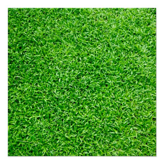Groen gras perfect poster (Voorkant)