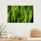 Groen gras poster (Keuken)