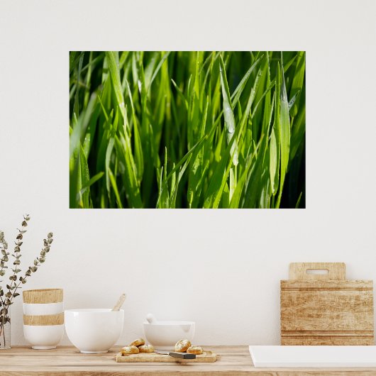 Groen gras poster (Keuken)