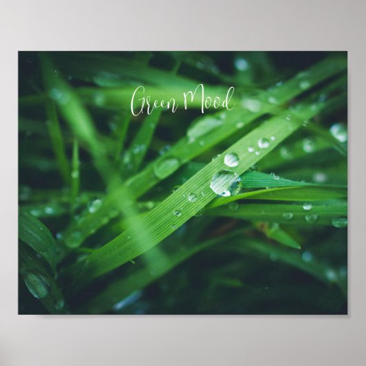 Groen gras poster (Voorkant)