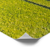 Groen gras poster (Hoek)