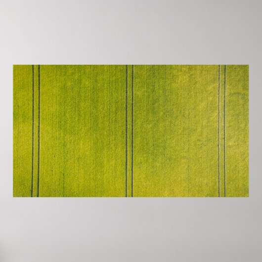 Groen gras poster (Voorkant)