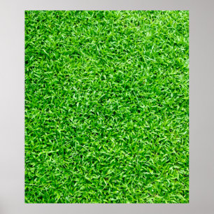 Groen gras poster