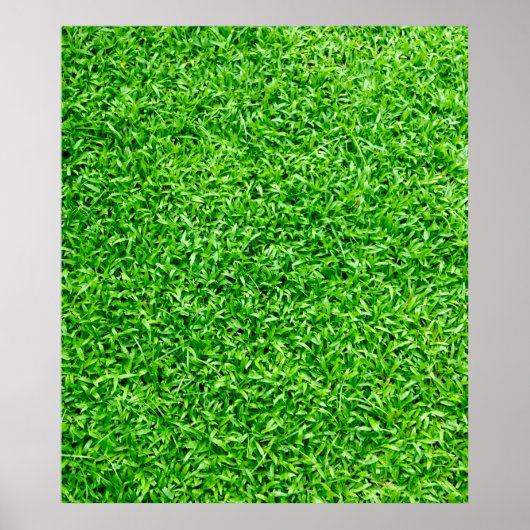 Groen gras poster (Voorkant)