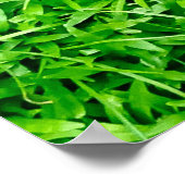 Groen gras poster (Hoek)
