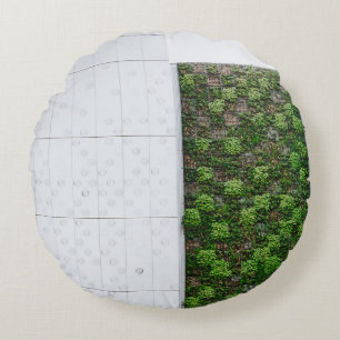 Groen gras rond kussen