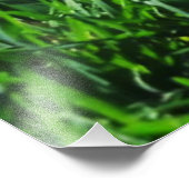 Groen gras tegen de achtergrond van het eindeloze foto afdruk (Hoek)