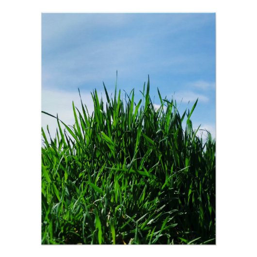 Groen gras tegen de achtergrond van het eindeloze perfect poster (Voorkant)