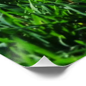 Groen gras tegen de achtergrond van het eindeloze perfect poster (Hoek)