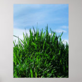 Groen gras tegen de achtergrond van het eindeloze poster (Voorkant)