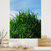 Groen gras tegen de achtergrond van het eindeloze poster (Keuken)