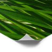 Groen gras van Home Print (Hoek)