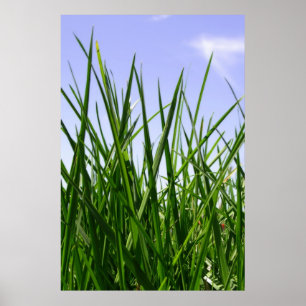 Groen gras van Home Print