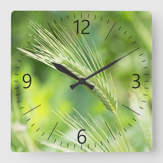 Groen gras vierkante klok (Voorkant)