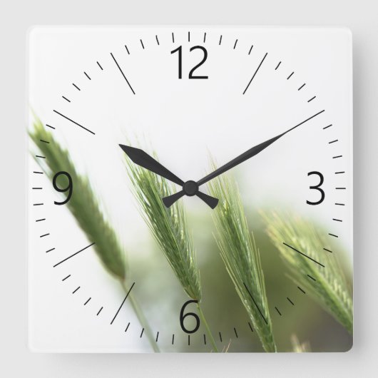 Groen gras vierkante klok (Voorkant)