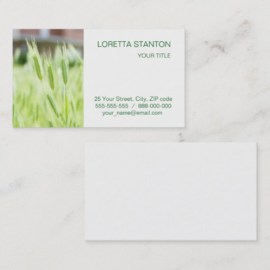 Groen gras visitekaartje (Voorkant / Achterkant)