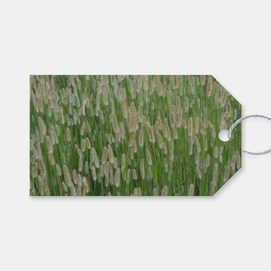 Groen gras zaden cadeaulabel (Voorkant (Horizontaal))