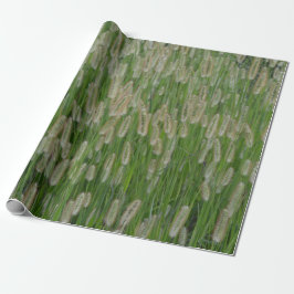 Groen gras zaden cadeaupapier