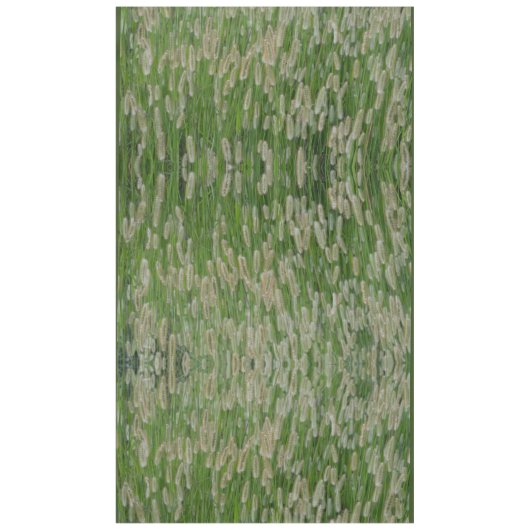 Groen gras zaden tafelkleed (Voorkant)