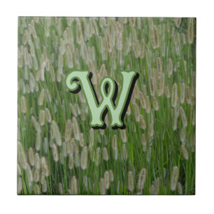 Groen gras zaden tegeltje