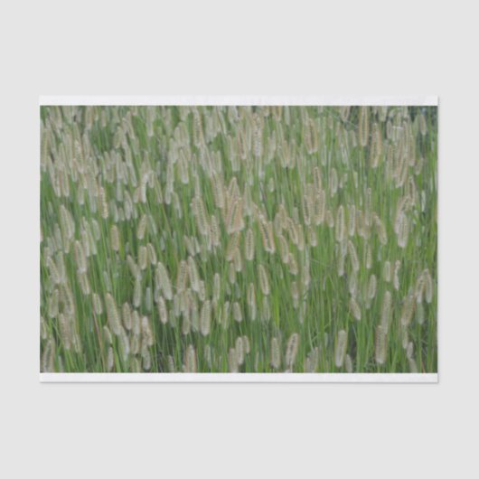 Groen gras zaden tissuepapier (Voorkant)