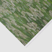 Groen gras zaden tissuepapier (Detail)