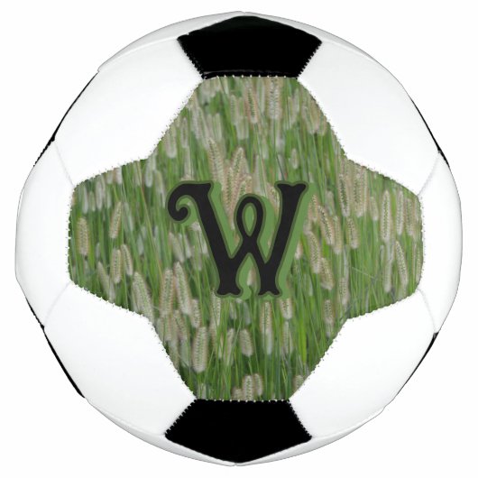 Groen gras zaden voetbal (Voorkant)