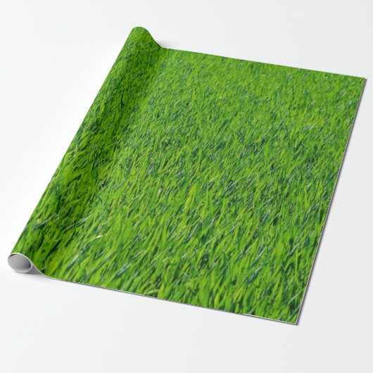 Groen grasontwerp cadeaupapier (Uitgerold)