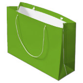 Groen Groot Cadeauzakje (Achterkant Gekanteld)