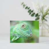 Groen hagedisselement Iguana op Briefkaart van led (Staand voorkant)