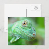Groen hagedisselement Iguana op Briefkaart van led (Voorkant / Achterkant)