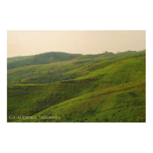 Groen heuvellandschap natuur landschapsfotografie