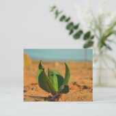 Groen in de woestijn briefkaart (Staand voorkant)