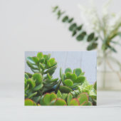 Groen in een Oxnard Ceramic Pot... California Livi Briefkaart (Staand voorkant)