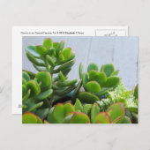 Groen in een Oxnard Ceramic Pot... California Livi Briefkaart (Voorkant / Achterkant)