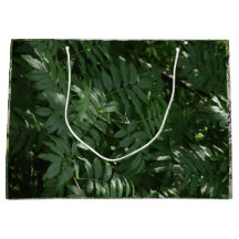 Groen in Yellowstone