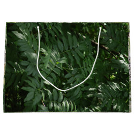 Groen in Yellowstone Groot Cadeauzakje