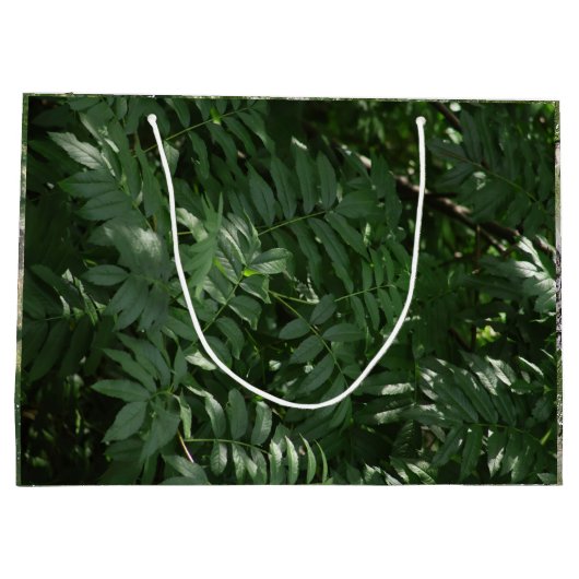 Groen in Yellowstone Groot Cadeauzakje (Achterkant)