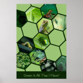 Groen is alles wat ik heb! Hexagon 11 Fotocollage Poster (Voorkant)