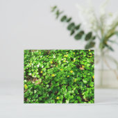 Groen is mooi briefkaart (Staand voorkant)